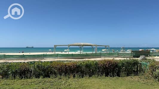 فلیٹ 2 غرفة نوم للبيع في عجمي، الإسكندرية - WhatsApp Image 2025-12-09 at 2.46. 53 PM (1). jpeg