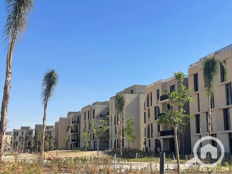 5 565003398_712837037733634_6826355099060009257_n. jpg