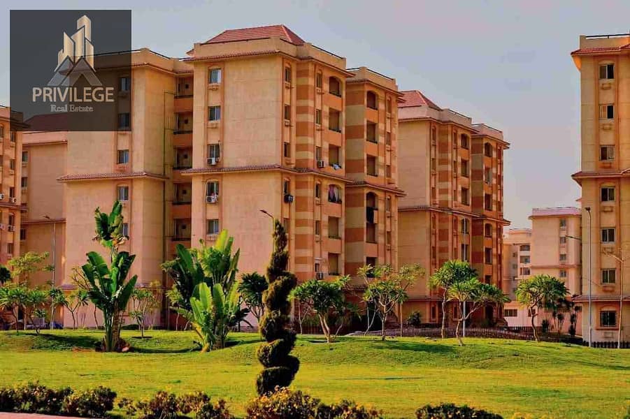 1000066098. jpg 1000066098. jpg