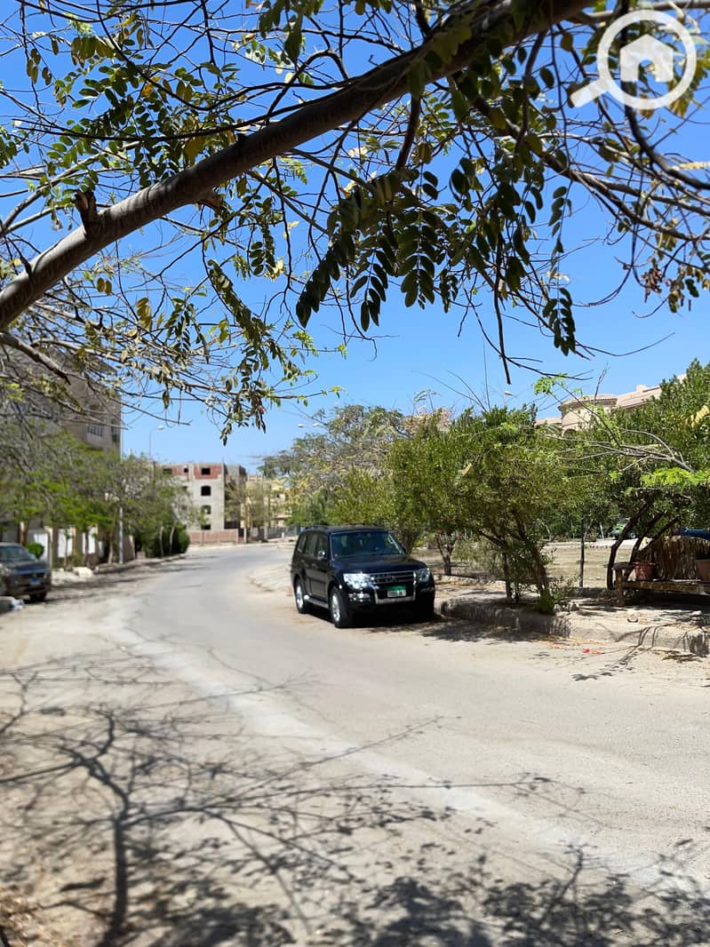 13 2a685ace-ea49-4278-927c-e4fd1e1bf5a9. jpg