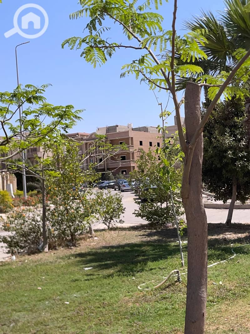 17 3cf6ef85-48d5-4088-924e-50969ae69f79. jpg