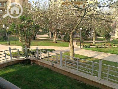 3 Bedroom Flat for Rent in New Cairo, Cairo - 1000623374. jpg