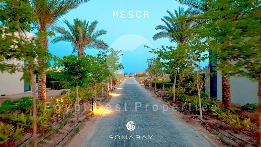 7 WhatsApp Image 2025-09-28 at 18.06. 42_edf9b2cf. jpg