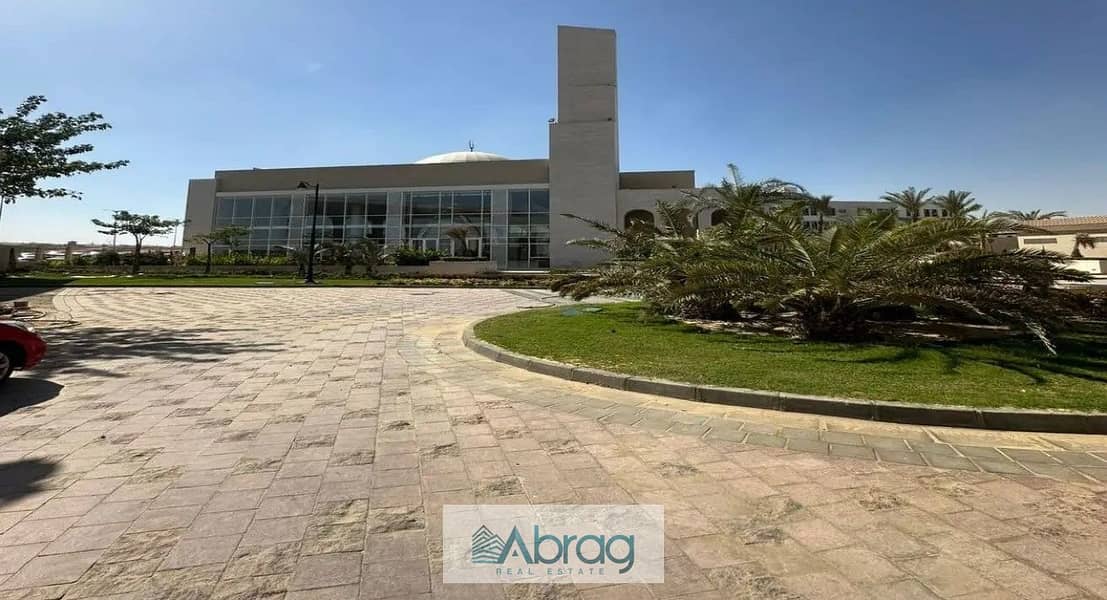 6 8081517-8c0c0o. jpg