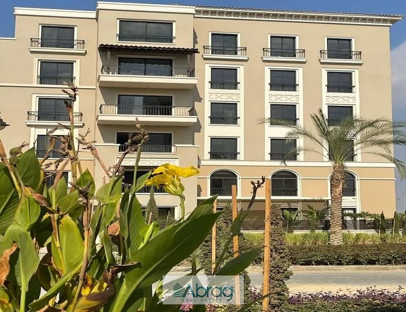 11 8081517-cabdao. jpg