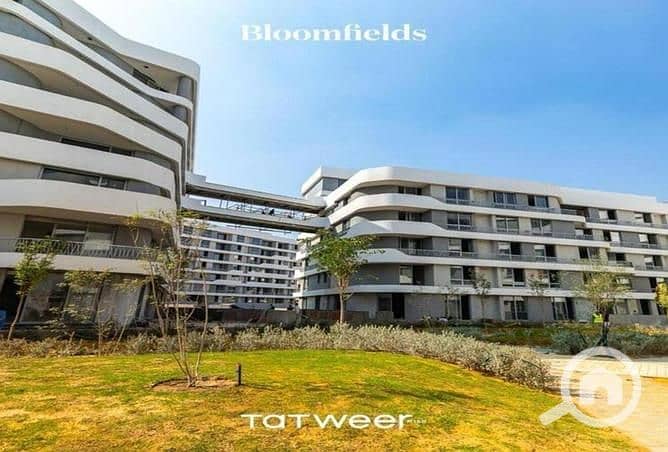 3 6330593-8adbfo. jpg