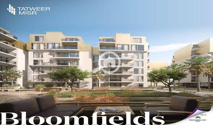 4 bloomfields-egypt-prices. jpg