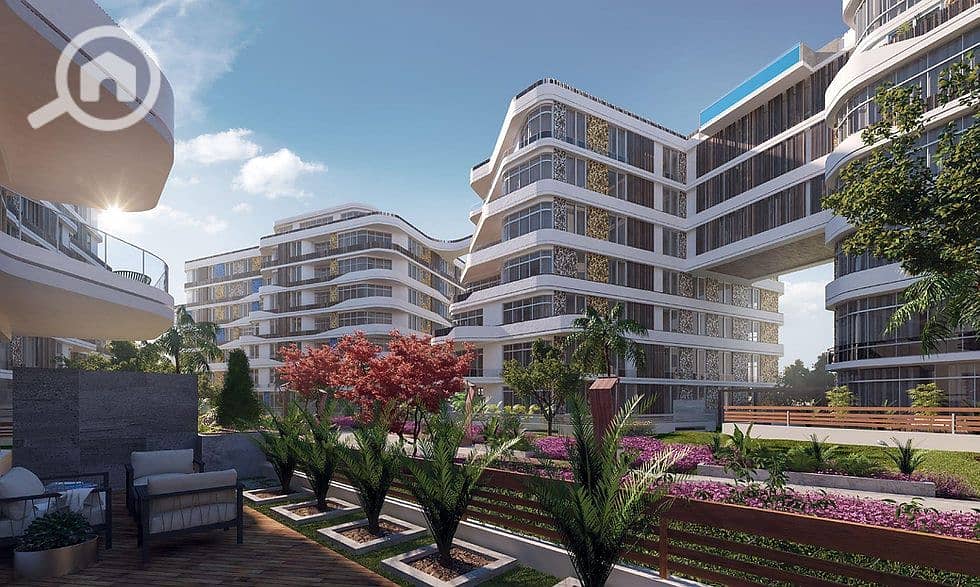 6 Page-4-Image-4. jpg