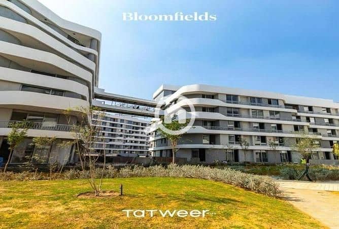 9 6330593-8adbfo. jpg