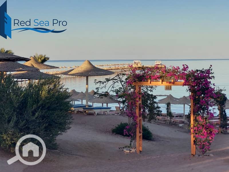 19 20231121_161828. jpg