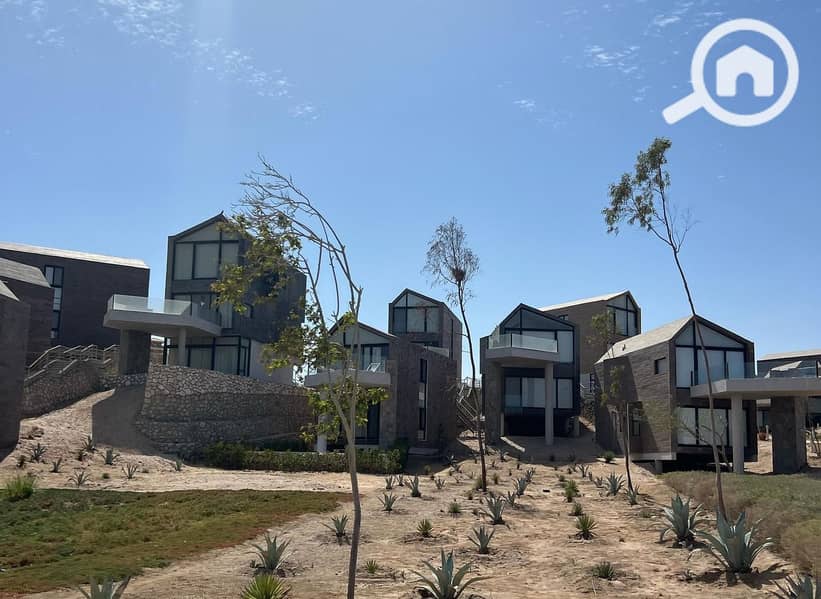 2 1dcb3c35-12b5-45ef-835b-d4dc23ec8ff5. jpeg