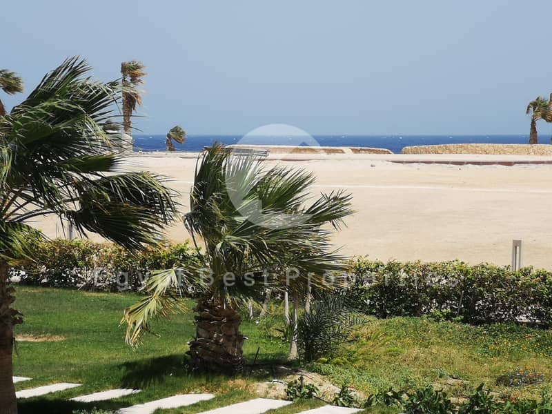 3 WhatsApp Image 2025-08-11 at 14.10. 58_7cf767fd. jpg