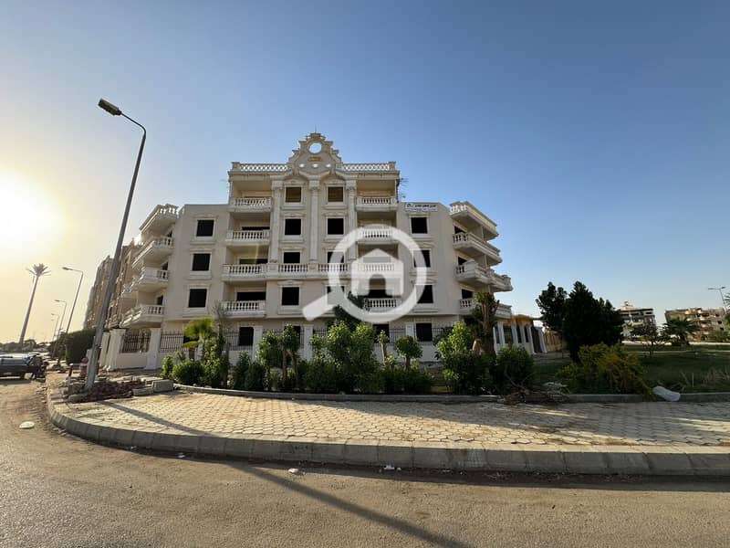 7 8af22275-2198-4cbb-92e1-17b06c8559fc. jpg