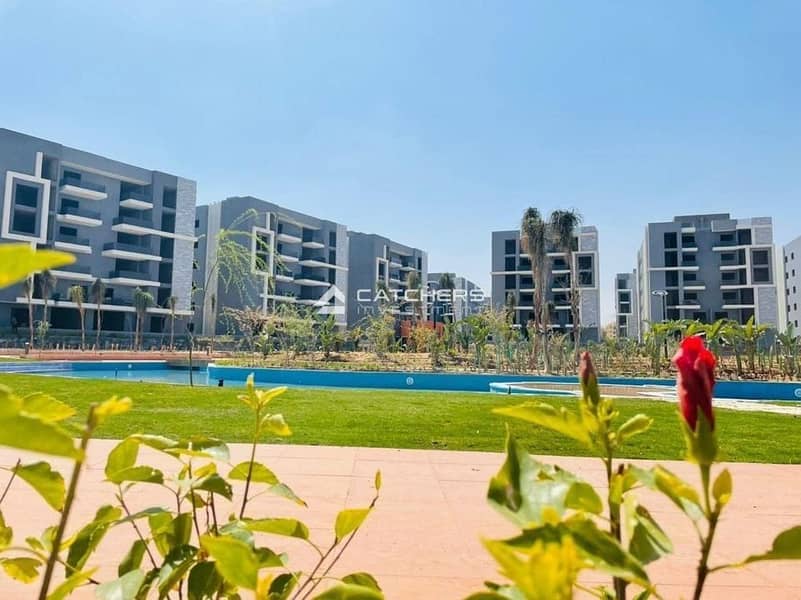 6 586552901_724791080663783_5568864335658522814_n. jpg