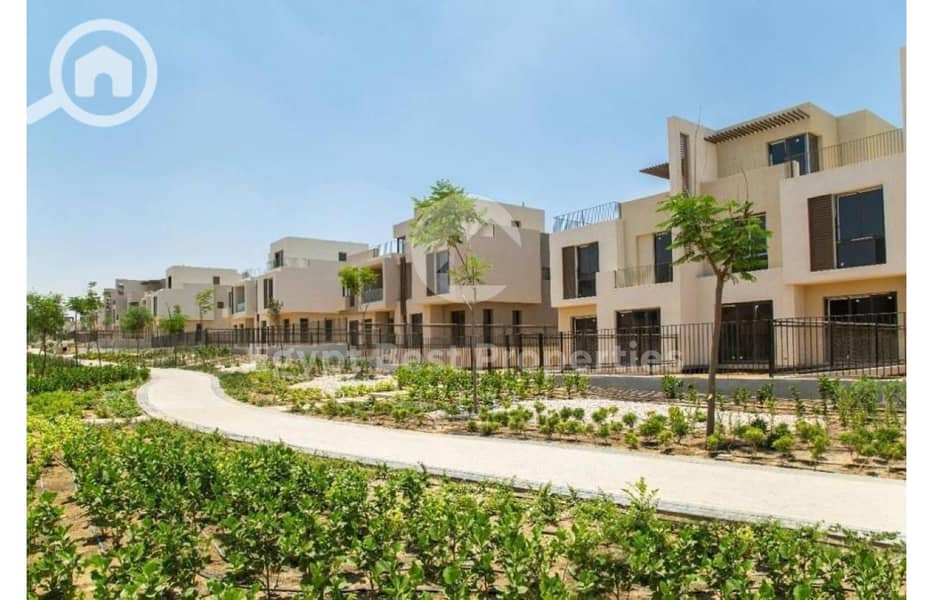 6 8077344-bcf9do. jpg