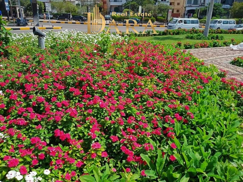 10 c276e51a-ebb0-48c2-91f5-872fd561b523. jpg