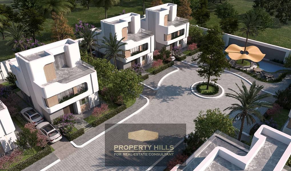 4 زايد جرينز 1. jpeg