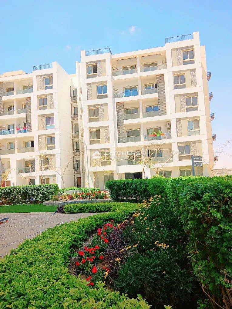 unnamed (13). jpg unnamed (13). jpg