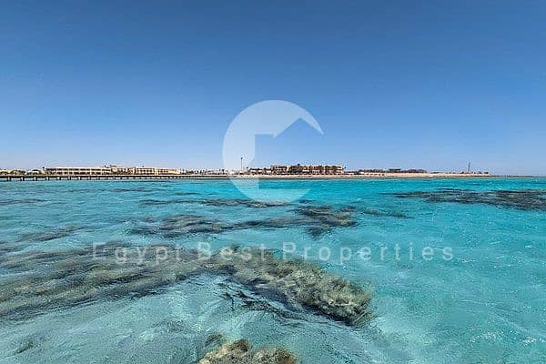 somaa. jpg somaa. jpg