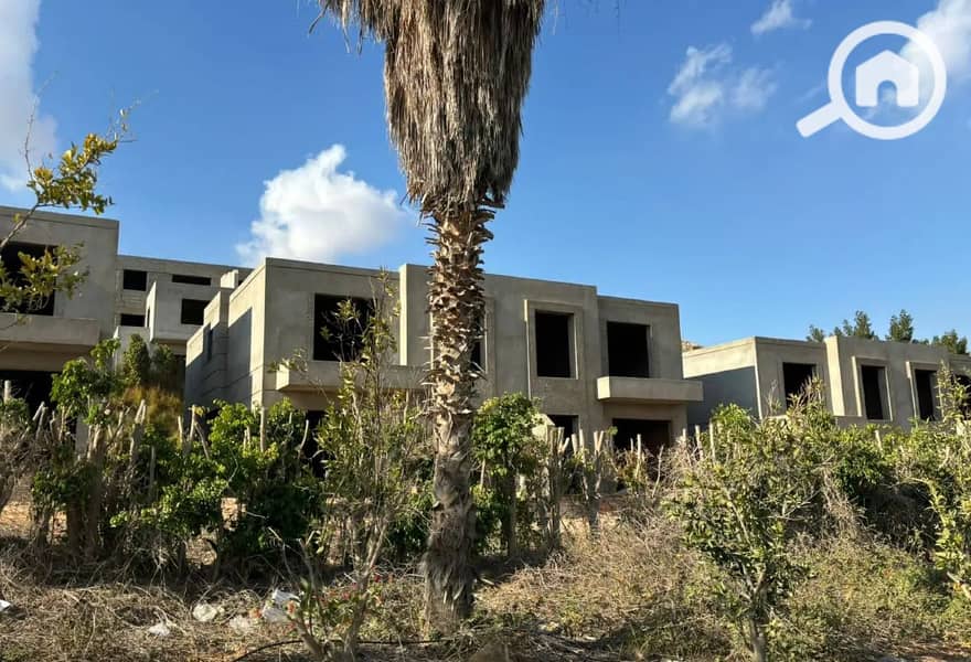 7 8205908-cc8dbo. JPG