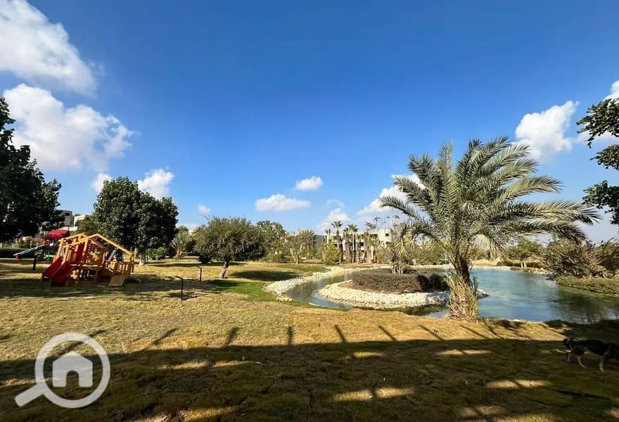 9 8216928-05983o. JPG