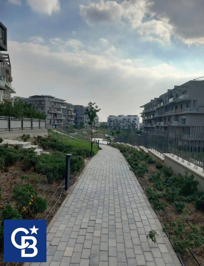 8 534962628_122208499826262866_707217390533936307_n. jpg