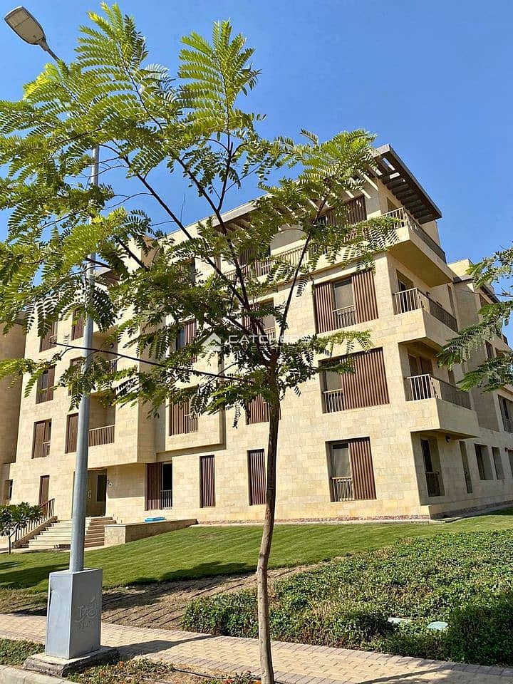 4 461929652_840970261531335_3394024724036823442_n. jpg