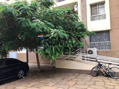 استوديو  للبيع في مدينتي، القاهرة - WhatsApp Image 2025-12-09 at 17.20. 41. jpeg