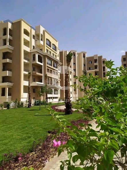 569276304_122225102606088561_6240024760882019515_n (1). jpg