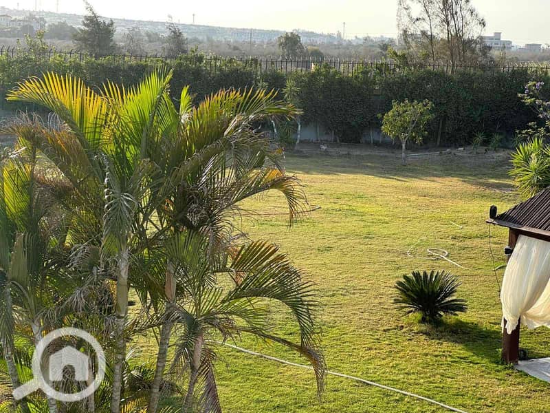 2 914f1a49-4788-4cbc-82ce-759cc9b7cf78. jpg