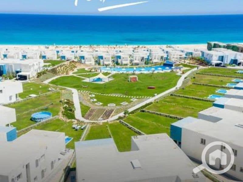 10 Untitled design - 2023-09-10T132523.970. png