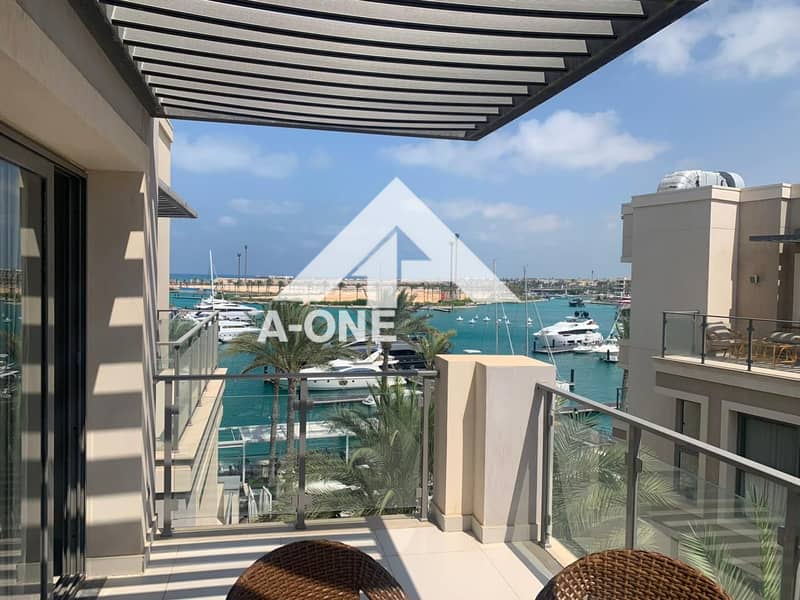 3 74191345-acba-4cd9-aa33-0af81290a022. jpg