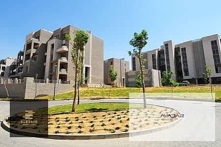 4 WhatsApp Image 2025-12-09 at 3.19. 02 PM (2). jpeg