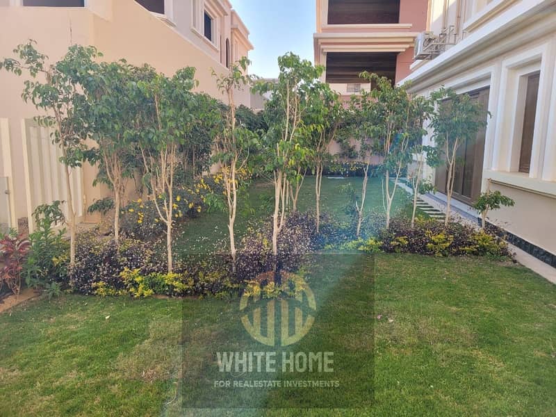 6 ad217e7d-c327-486a-a504-01e154f95fe6. jpeg