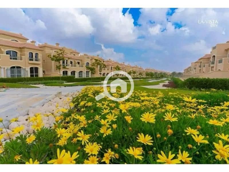 9 8083951-55a17o (1). jpg