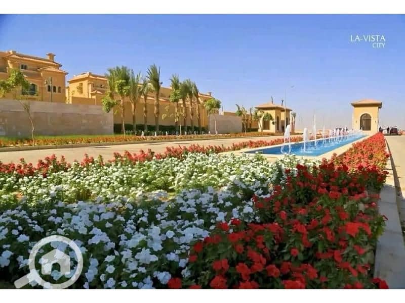 13 8083951-e6531o. jpg