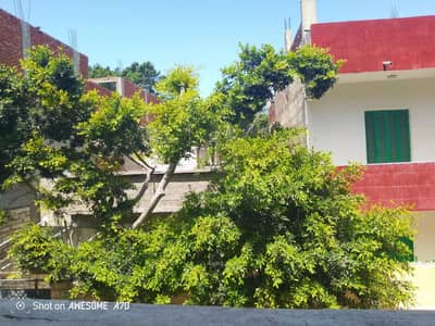 5 Bedroom Villa for Sale in Agami, Alexandria - فيلا للبدل بشقه وسياره مع دفع الفرق