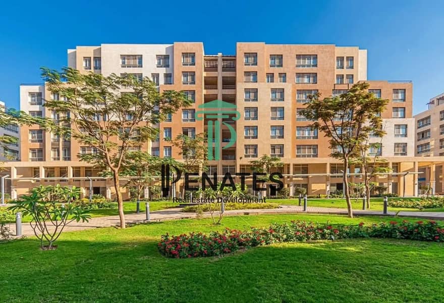 2 processed-image (3). png