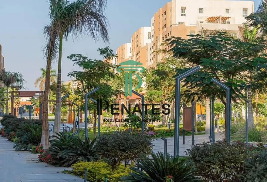 9 processed-image (6). png