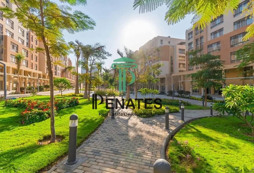 10 processed-image (5). png