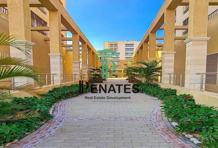 11 processed-image (10). png