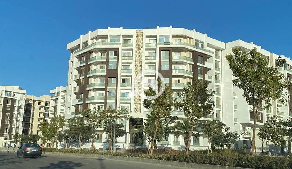 595670809_862436209812485_7080380354494725670_n. jpg 595670809_862436209812485_7080380354494725670_n. jpg