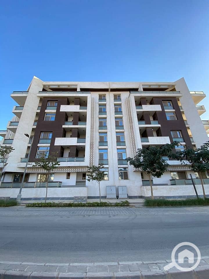 10 597441462_862436063145833_4133000606857648501_n. jpg