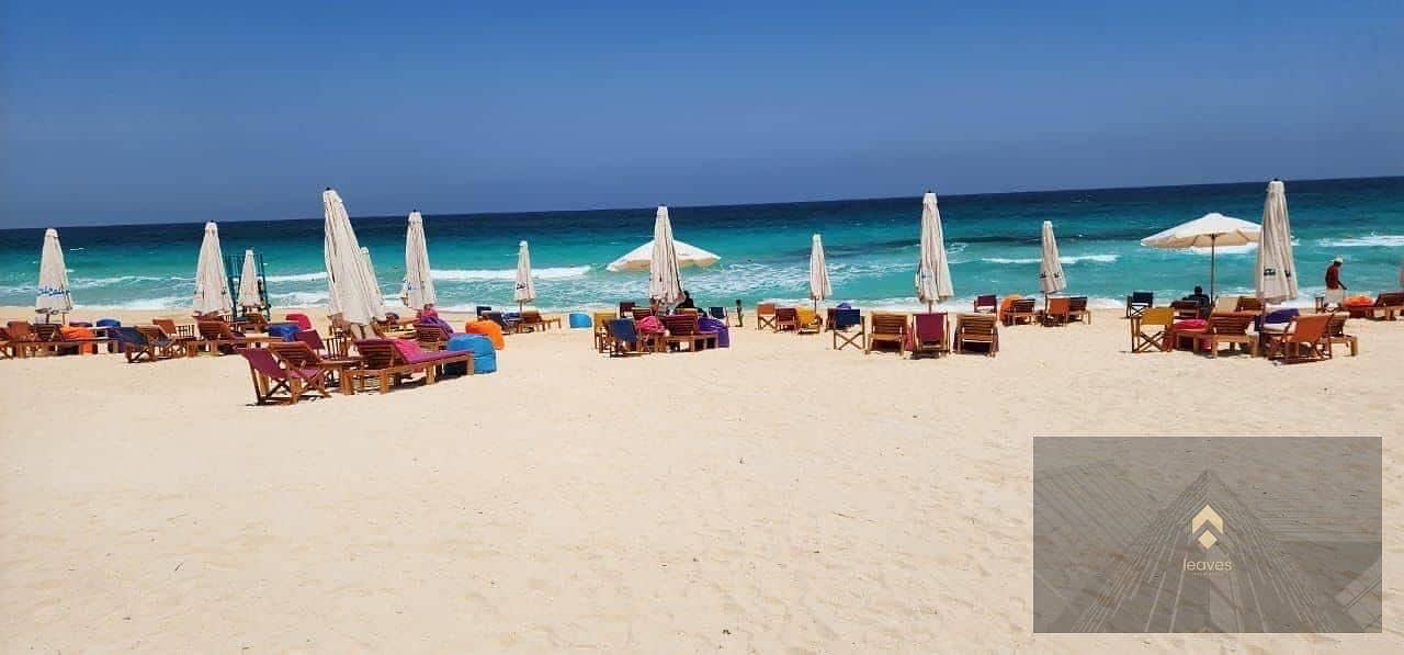 3 7c6ec088-47a5-40bc-a4e2-290c58fc5a34. jpg