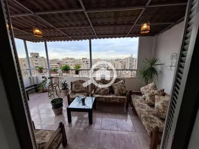 شقة 2 غرفة نوم للايجار في مدينة نصر، القاهرة - WhatsApp Image 2025-12-08 at 5.19. 27 PM (1). jpeg