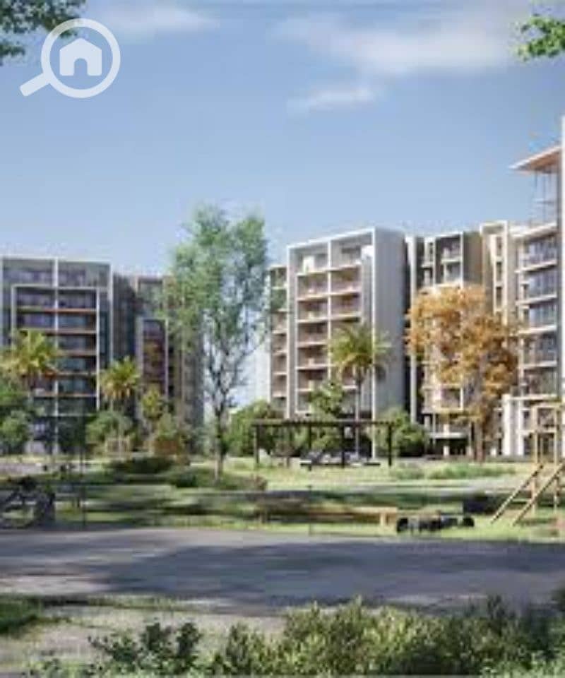 4 images (3). jfif. jpg