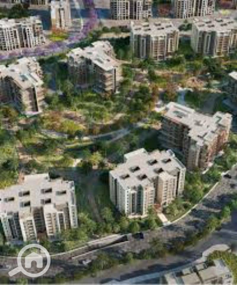 5 images (4). jfif. jpg