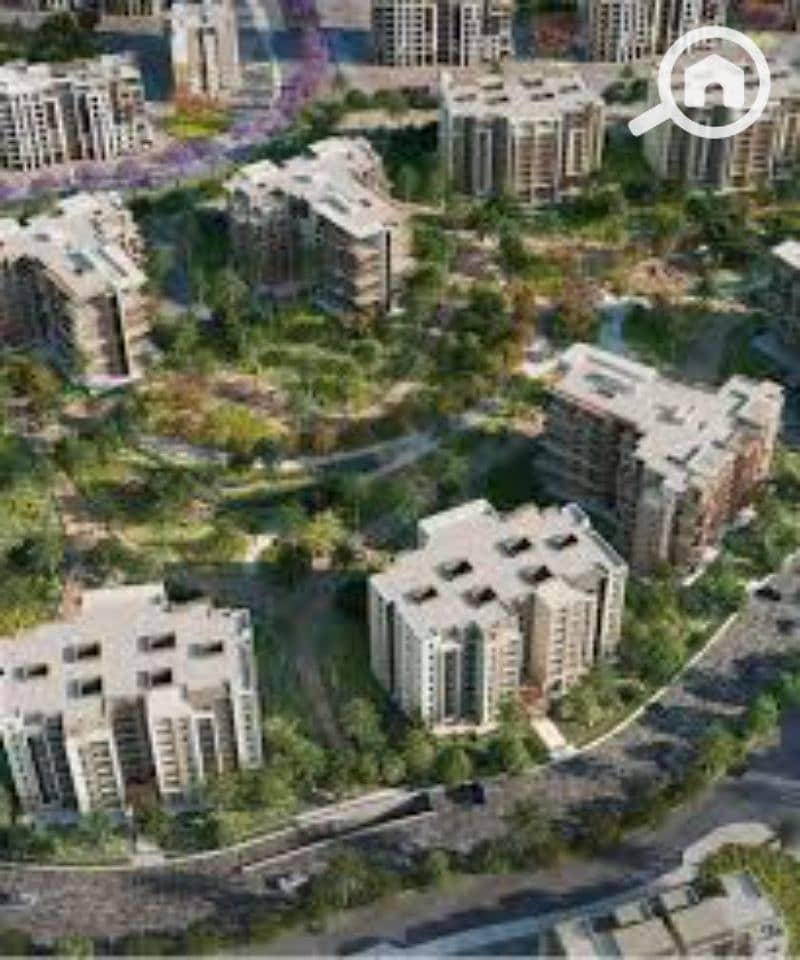 5 images (4). jfif. jpg