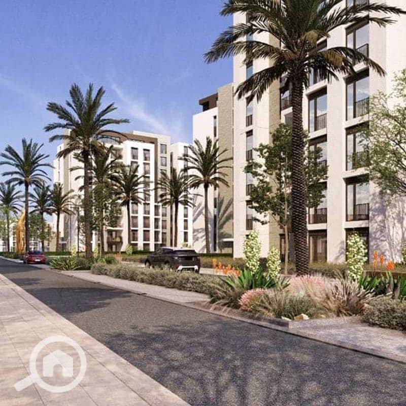 17 zed-est-600-600-4-2. jpg