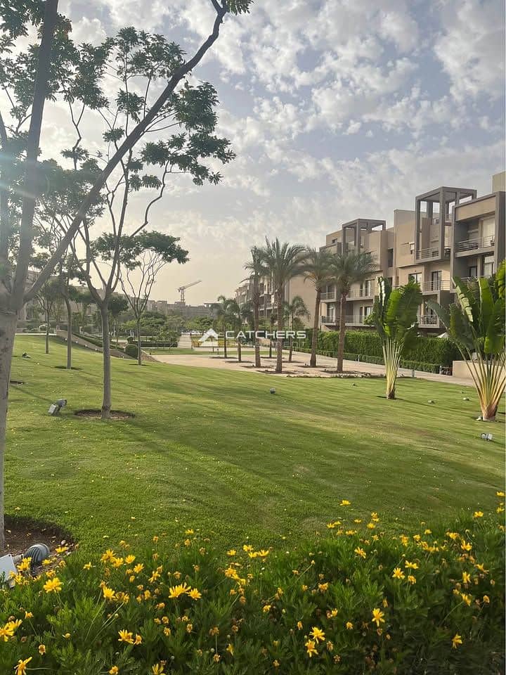 12 584391786_845850291325163_6366225851827084534_n. jpg